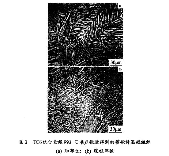 TC6鈦合金經993℃準β鍛造得到的模鍛件顯微組織(a) 肋部位；(b) 腹板部位