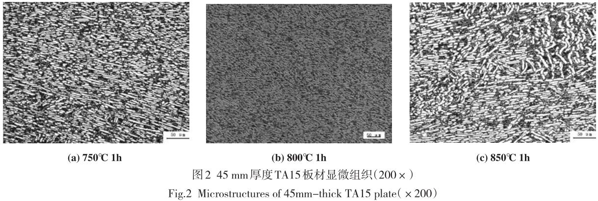 1687580917978540.jpg t2.jpg