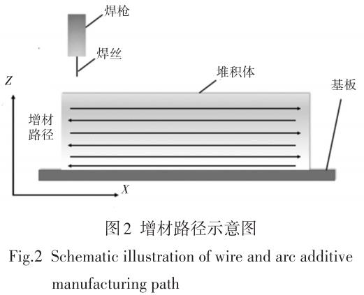 1695567458139445.jpg t2.jpg