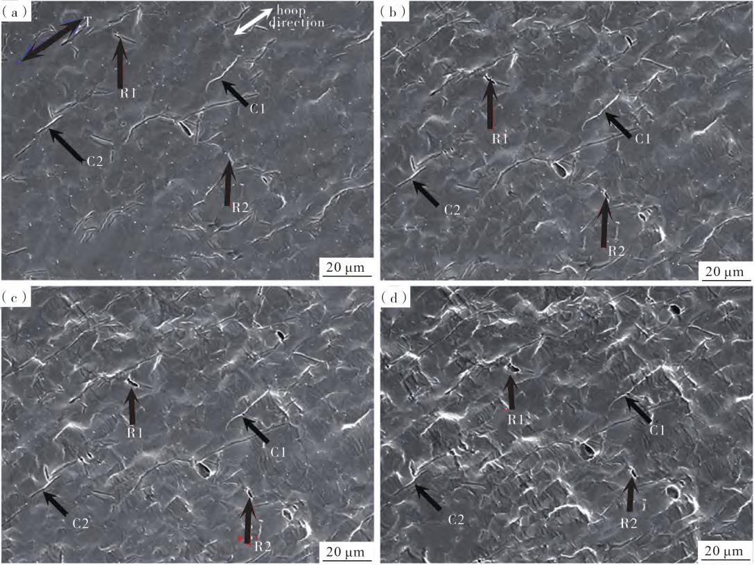 1720079288463321.jpg 6.jpg