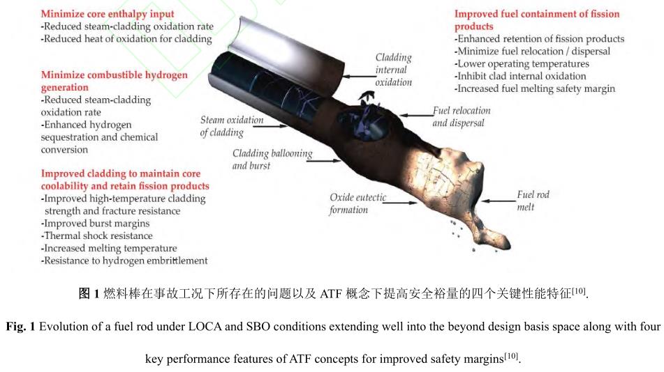 1729135164626972.jpg 1.jpg