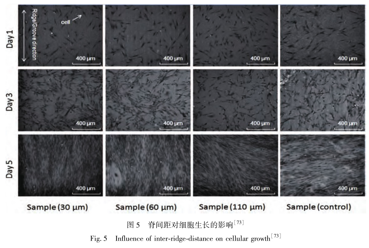 1733386591982581.jpg 5.jpg