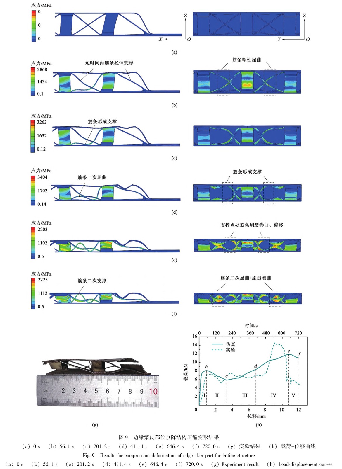 1735284180305719.jpg 9.jpg