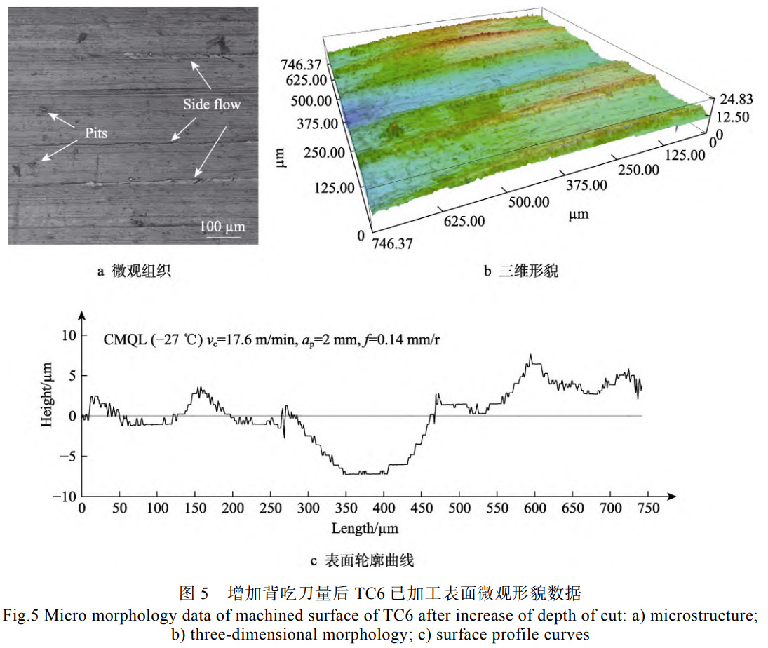 1739714317325990.jpg 5.jpg