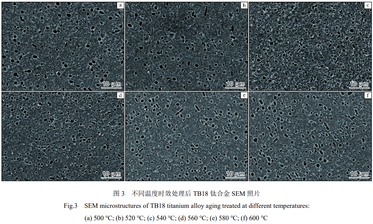 1743305329773004.png 截圖20250330112336.png