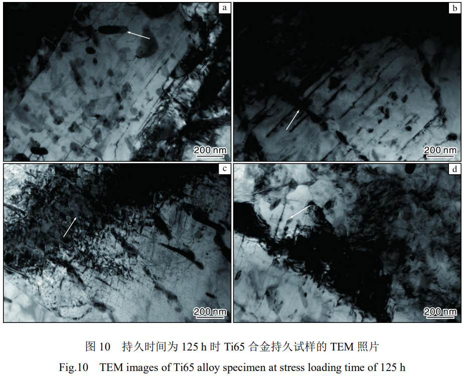 1773199772231581.png 10.png