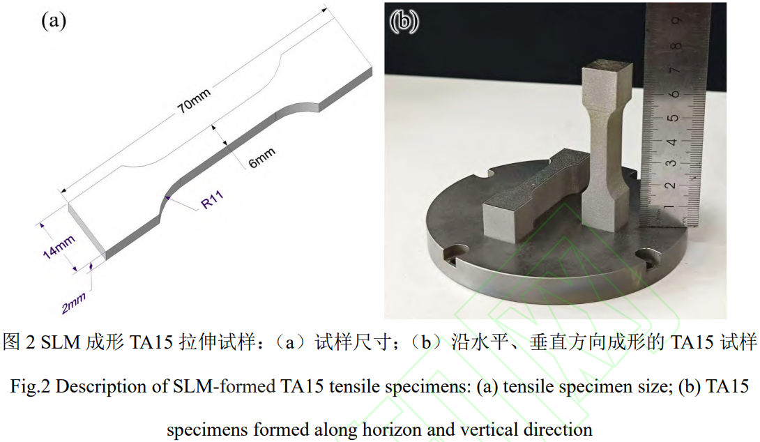 1775619182988578.png 2.png