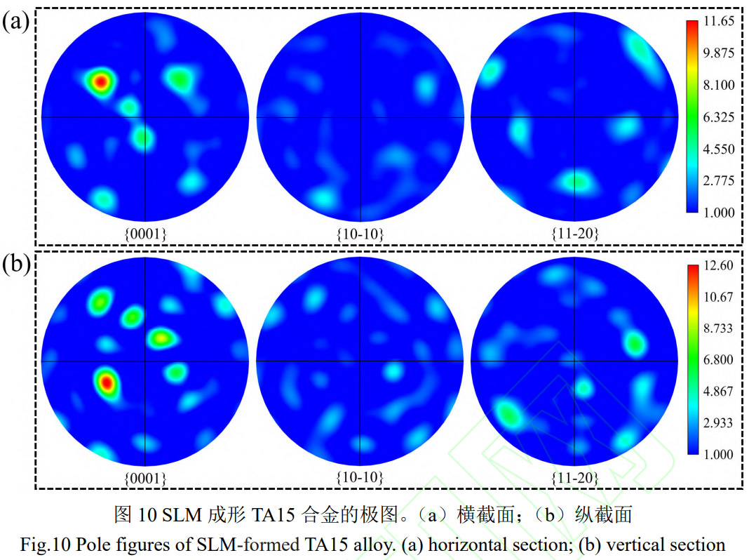 1775619259169288.jpg 10.jpg