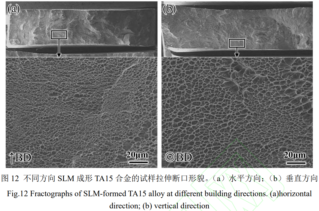 1775619296980515.png 12.png