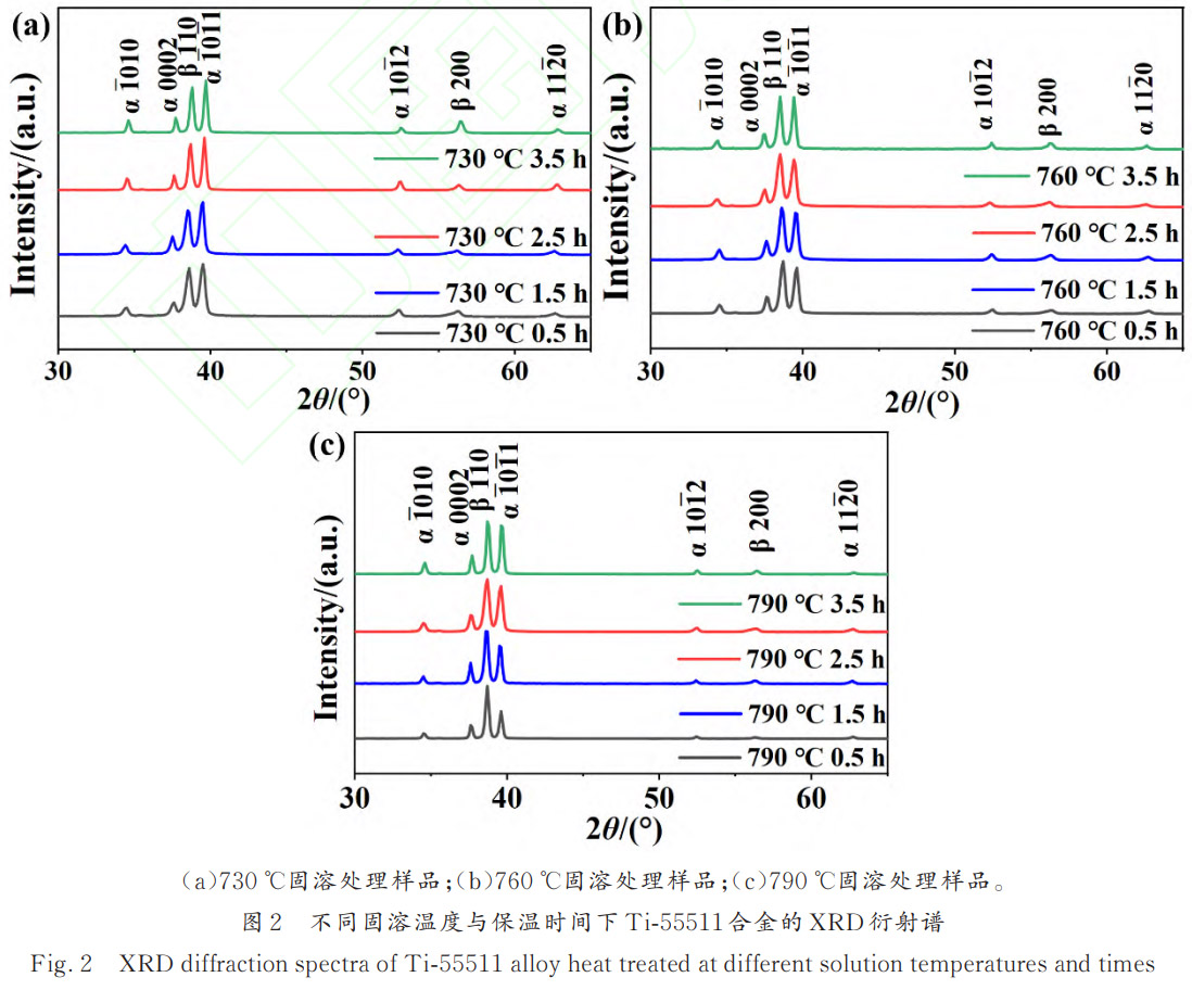 1775639477642284.jpg 2.jpg