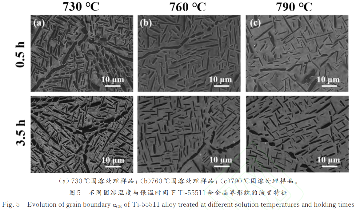 1775639507157734.png 5.png