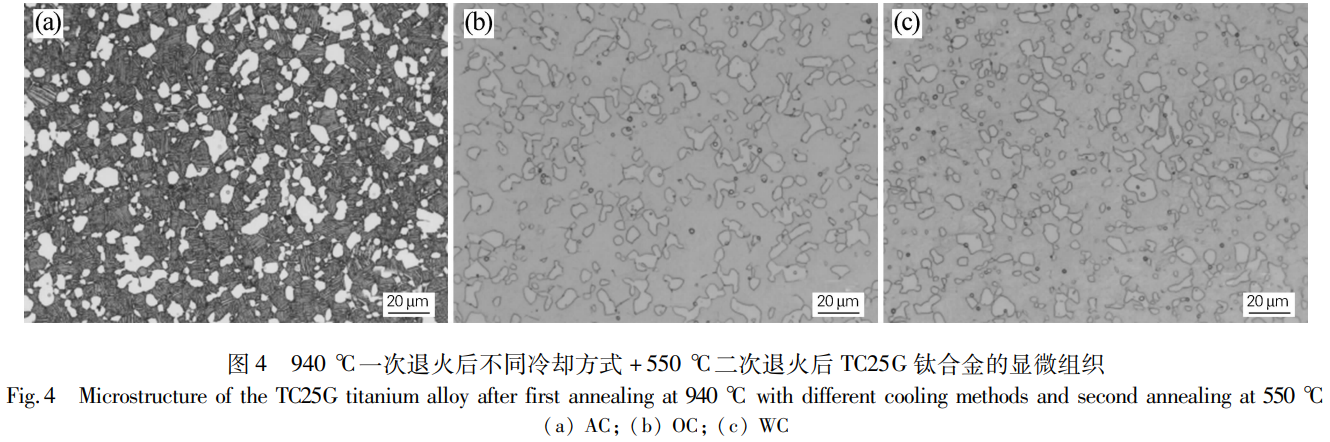 1776041829662716.png 4.png