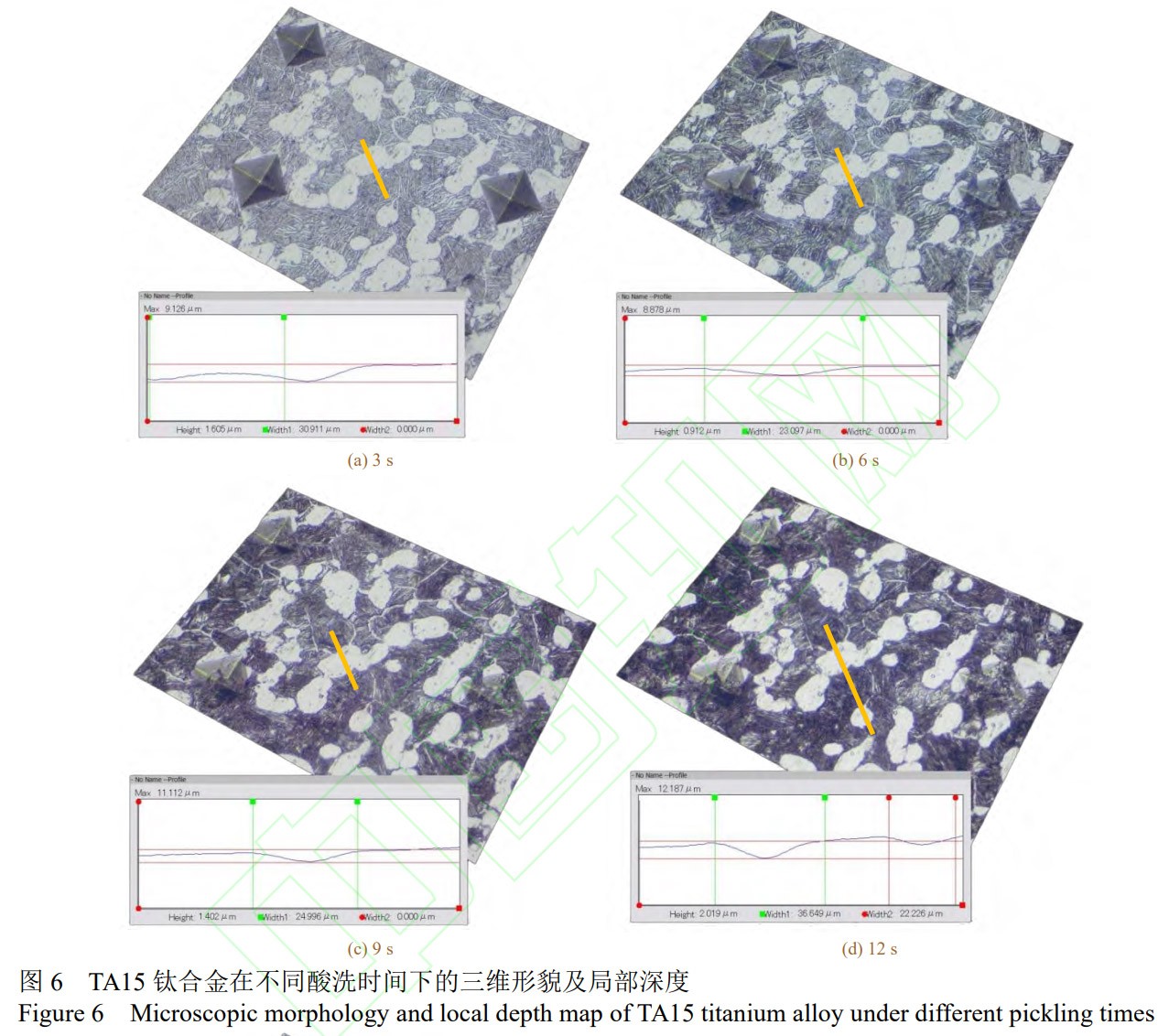 1776043482241163.jpg 6.jpg